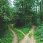 5 things to consider if/when deciding to separate from your partner