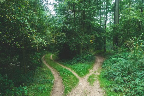5 things to consider if/when deciding to separate from your partner
